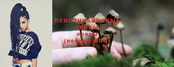 мяу мяу мука Лабытнанги
