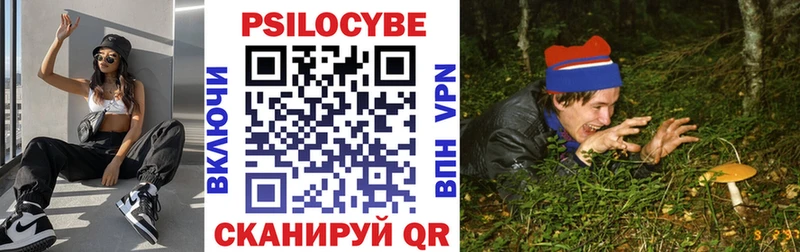 Псилоцибиновые грибы Psilocybe  Ядрин 